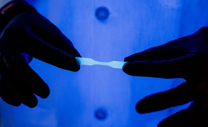 Conoce los plásticos que dominarán el mercado este año.