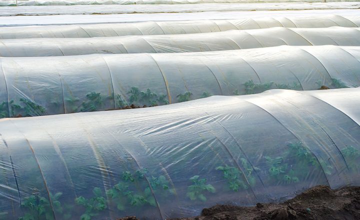 Plásticos para la agricultura