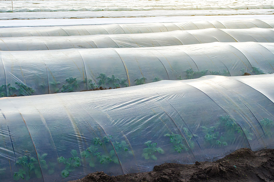 Plásticos para la agricultura