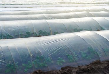 Plásticos para la agricultura
